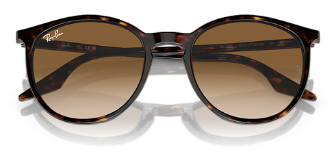 Ray-Ban RB 2204 902/51