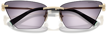 Tiffany & Co TF 3120 62438H