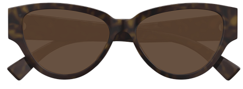 Bottega Veneta BV1319S 002