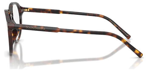 Dolce & Gabbana DG 3444 502