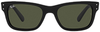 Ray-Ban RB 2283 901/31