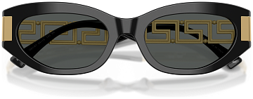 Versace VE 4501 GB1/87