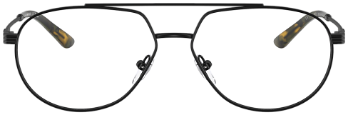 Emporio Armani EA 1165 3001