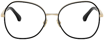Chanel CH 2217J C395