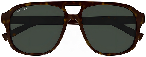 Gucci GG 1856S 002