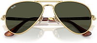 Ray-Ban RB 3925 001/31