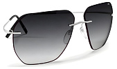 Silhouette 8743 7210