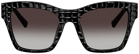 Dolce & Gabbana DG 4512 32888G