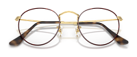 Ray-Ban RX 3447V 3188