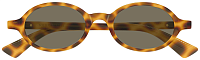 Bottega Veneta BV 1388S 006