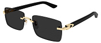 Cartier CT 0579S 005
