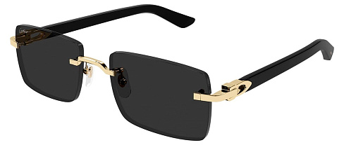 Cartier CT 0579S 005