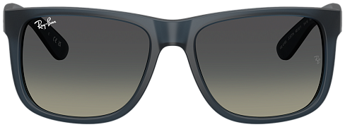 Ray-Ban RB 4165 681311