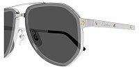 Cartier CT 0461S 006