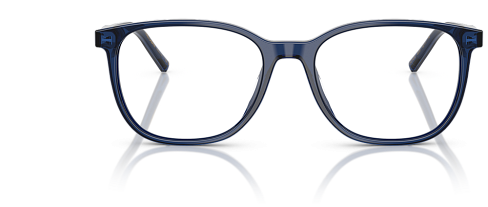 Dolce & Gabbana DG 3426 3009