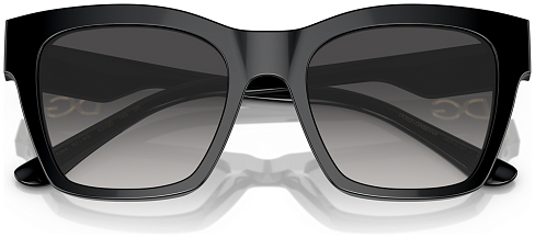 Dolce & Gabbana DG 4384 501/8G