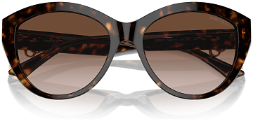Jimmy Choo JC 5007 500213