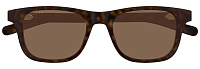 Gucci GG1671S 006