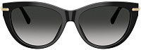 Tiffany & Co TF 4253F 80013C