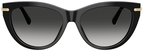 Tiffany & Co TF 4253F 80013C