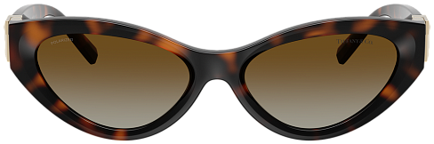 Tiffany & Co TF 4225U 8015T5