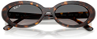 Ray-Ban RB 2223 902/M3