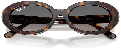 Ray-Ban RB 2223 902/M3