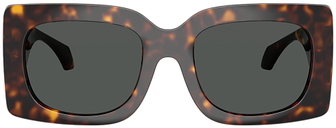 Versace VE 4496U 108/87