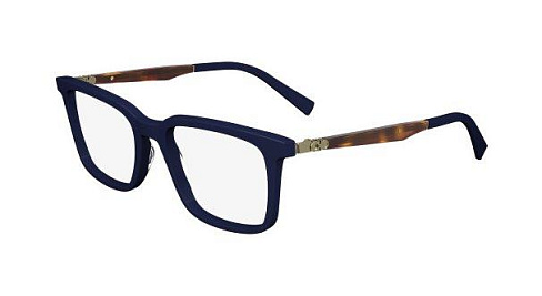 Salvatore Ferragamo SF2969 414