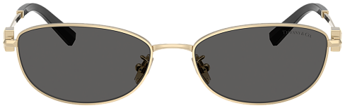 Tiffany & Co TF 3115 6021S4