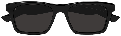 Alexander McQueen AM0472S 001