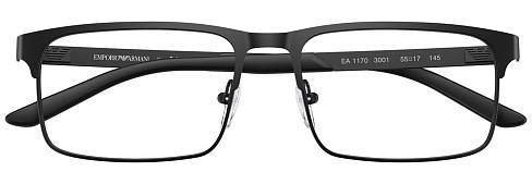 Emporio Armani EA 1170 3001