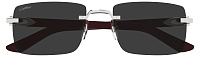 Cartier CT 0579S 006