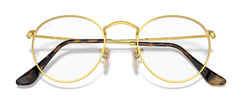 Ray-Ban RX 3447V 2500