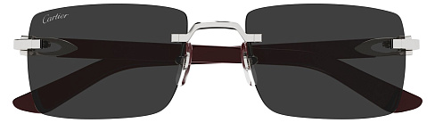 Cartier CT 0579S 006