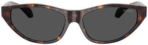 Versace VE 4491U 108/87
