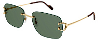 Cartier CT 0330S 005