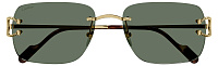 Cartier CT 0330S 005