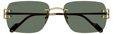 Cartier CT 0330S 005