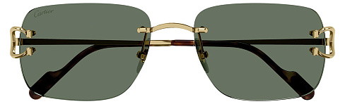 Cartier CT 0330S 005