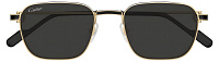 Cartier CT0497S 006, цвет: золотой, цвет линзы: серый, квадратные, металл