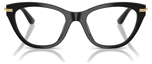 Dolce & Gabbana DG 3428 501