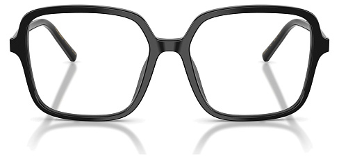 Dolce & Gabbana DG 3442 501