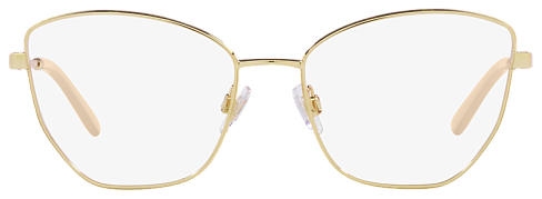 Dolce & Gabbana DG 1340 02