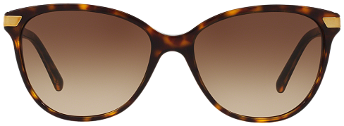 Burberry BE 4216 300213