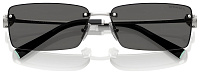 Tiffany & Co TF 3108B 6001S4