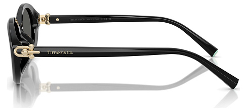 Tiffany & Co TF 4242D 8361S4