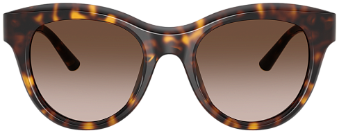 Dolce & Gabbana DG 4518 502/13