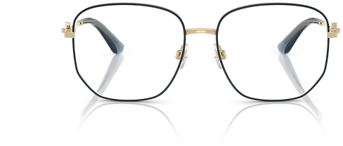 Dolce & Gabbana DG 1356 488