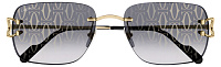 Cartier CT0330S 007